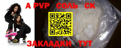 тгк Бердск