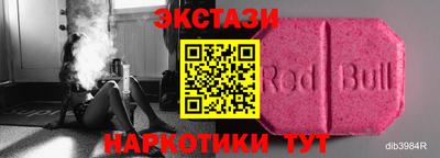 тгк Бердск