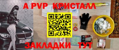 тгк Бердск