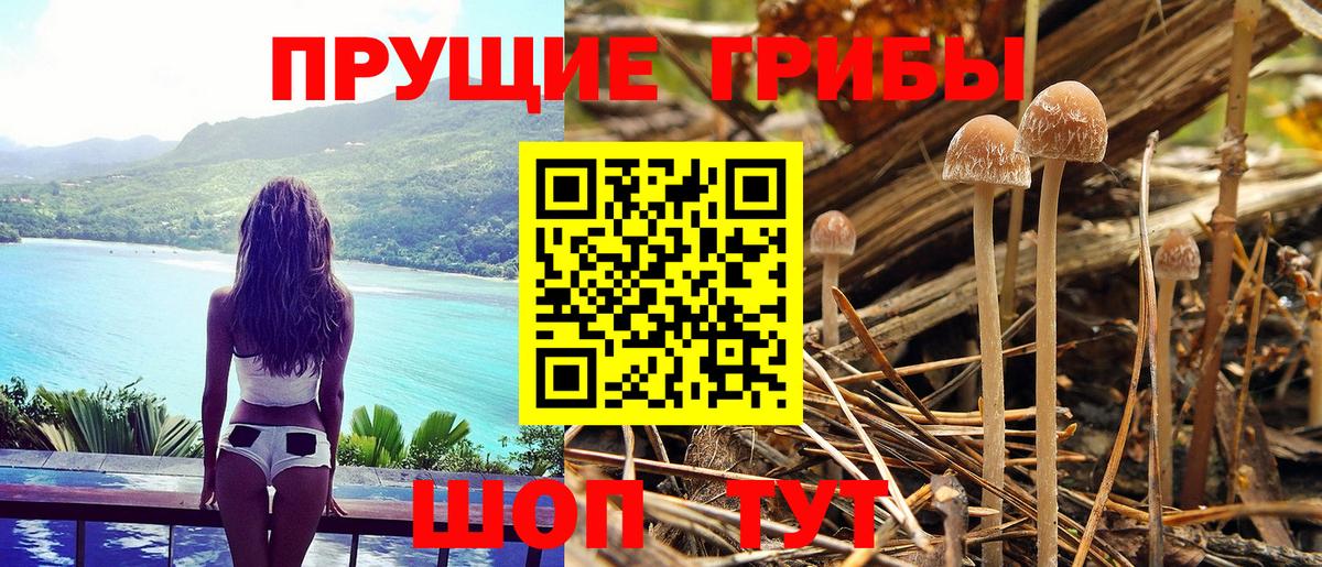 Псилоцибиновые грибы Magic Shrooms Гудермес