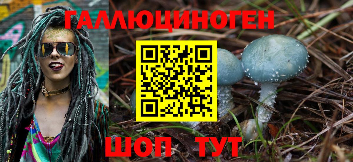 Галлюциногенные грибы Psilocybe  Вход с VPN  Галлюциногенные грибы Psilocybine cubensis  цены   Гудермес 